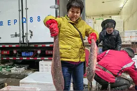 1天销量5万斤！开凌梭抢“鲜”上市，南方梭鱼唱主角图片