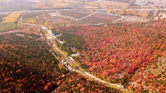 绝美！今秋，就去北京这些登山步道赏红叶！