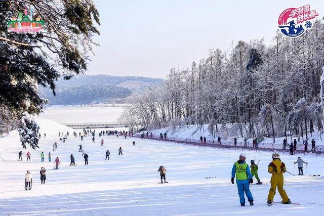 “粉雪之都”诚邀大湾区游客！长春冰雪旅游推介会在深圳举办