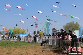 第42届潍坊国际风筝会开幕 世界风筝云端“比武”图片