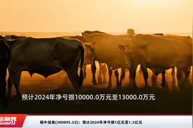 铜牛信息(300895.SZ)：预计2024年净亏损1亿元至1.3亿元视频封面