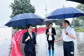 吴桂英：发扬连续作战精神 坚决筑牢安全防线图片