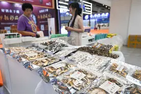 中外美食汇海南——2024第二届海食会开幕图片