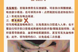 转发提醒！野外遇蛇怎么办图片