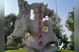 产值突破55亿元！寻“鲁林好品”看乡村振兴活动走进沾化冬枣原产地图片
