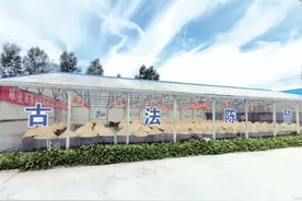 哈尔滨宾县酱醋古法传承“老字号” “酱人匠心”闯市场图片