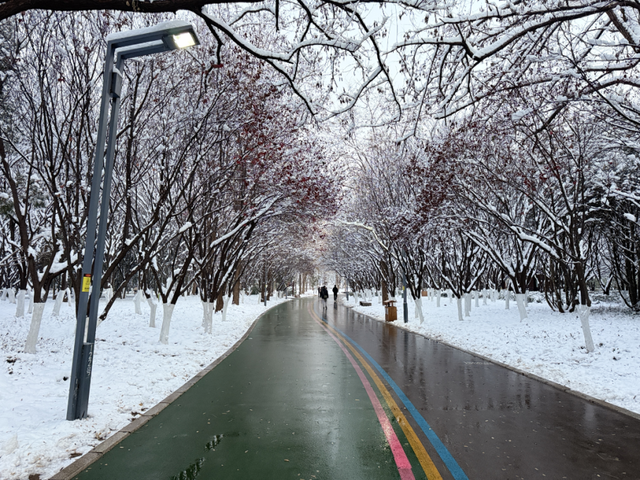 坐着地铁逛济南公园，最新攻略来啦！