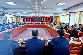 云浮郁南建城镇：群策群力共谋发展 同绘桑梓振兴宏图图片