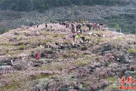 江永：十里桃花，盛开山崖图片
