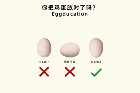 鸡蛋、干货存储技巧有哪些？图片