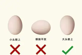 鸡蛋、干货存储技巧有哪些？图片