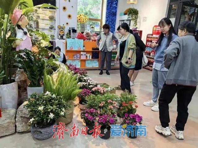 一年四季 泉在济南丨市属公园景区中秋佳节乐事多