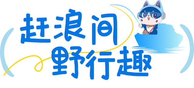跟着喵小桂夜游防城港！海边山潮夜，渔火市集浪花间