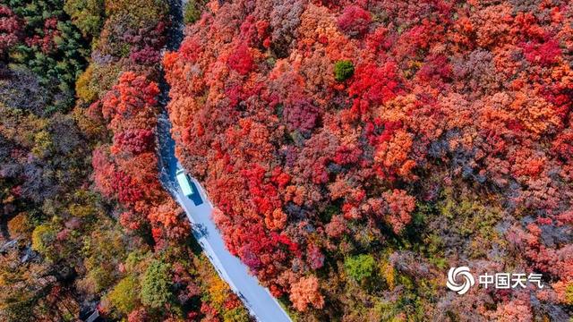 重阳节：登高望远 尽览万山秋色