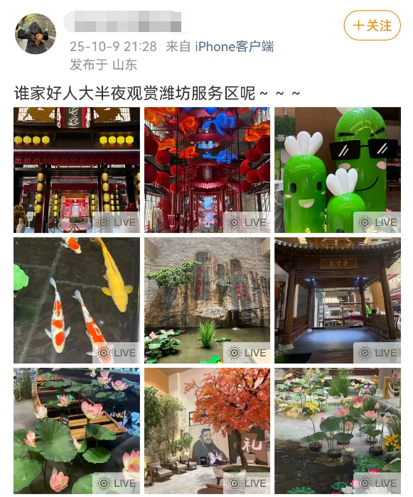 山东某高速服务区突然爆火！比景区的人还多！网友：原本只想来上个厕所，结果花出去500多，一进门我都蒙了