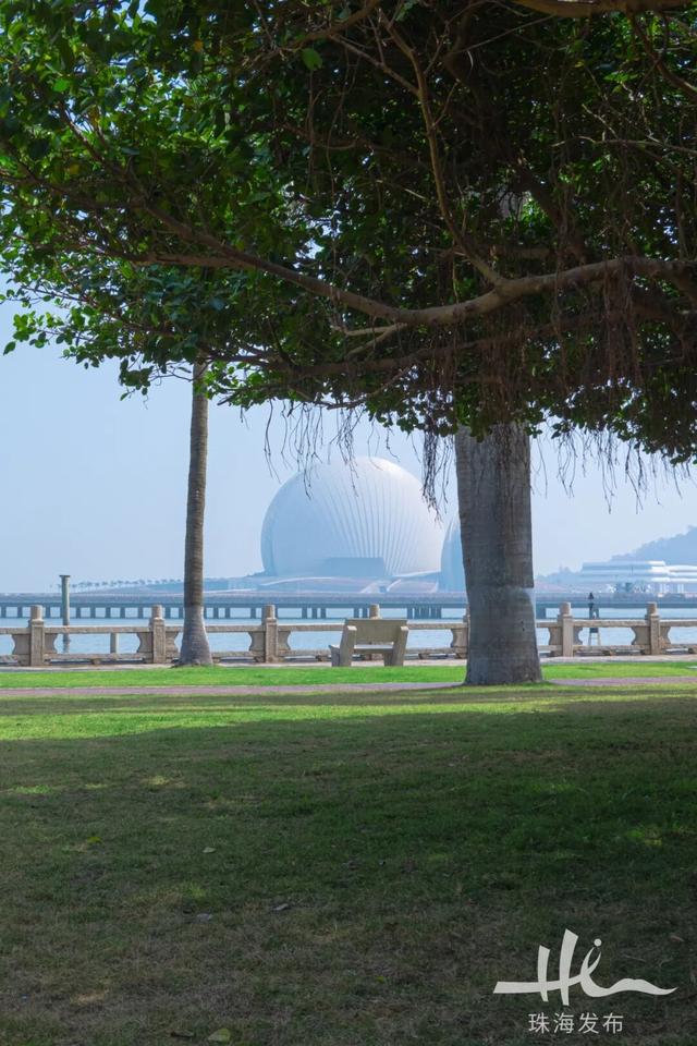 上新！珠海“顶流爱心树”浪漫升级，出片率100%！