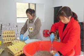 南漳：老配方出“新招” 土鸡蛋变“金蛋”图片