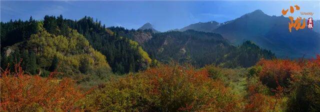 张掖肃南寄出“秋日请柬”　这些美景藏不住了！