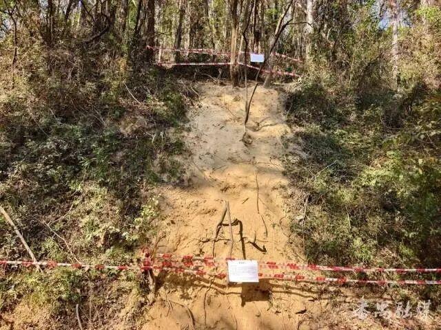 广州大夫山“画马”路线已封闭，官方推出替代路线