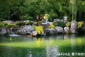 坚持保泉优先，济南将加强保护重点渗漏带和直接补给区图片
