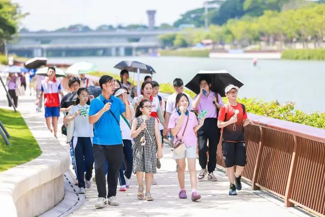 这条路线，看懂深圳！