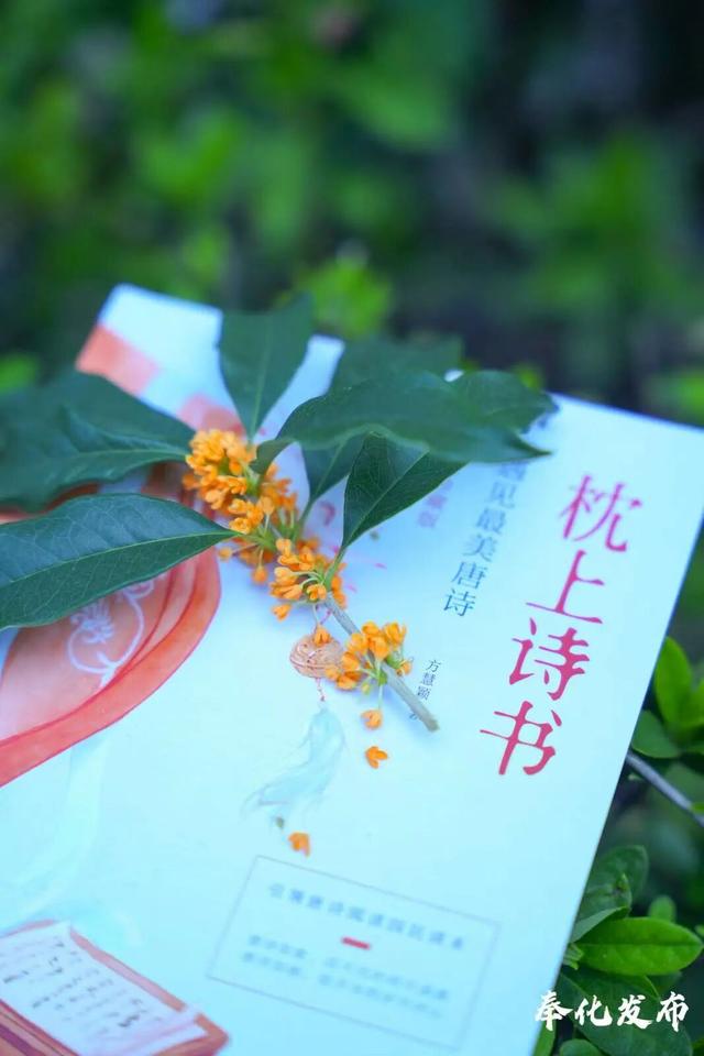 开了开了！奉化的秋天，真࿐香࿐啊࿐