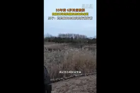 等了35年，这口蜜带他回家图片