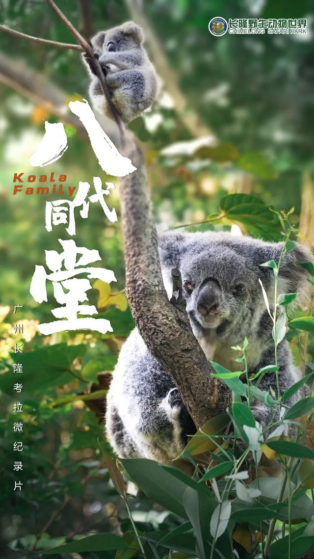 送票！这场活动超有料，体验感拉满