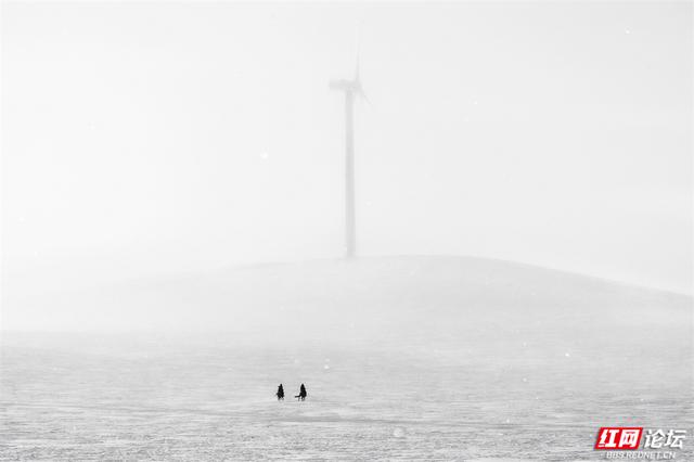 跟着网友游内蒙古丨雪线之上，生活如歌