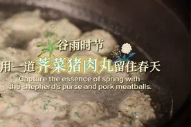24道风味丨谷雨时节 用一道荠菜猪肉丸留住春天图片