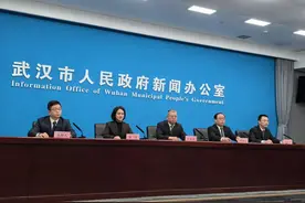 武汉原生生活垃圾实现“零填埋”，危险废物安全处置率100%图片