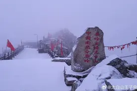 最新！陕西这里下雪了！部分高速入口封闭，明天还有......图片