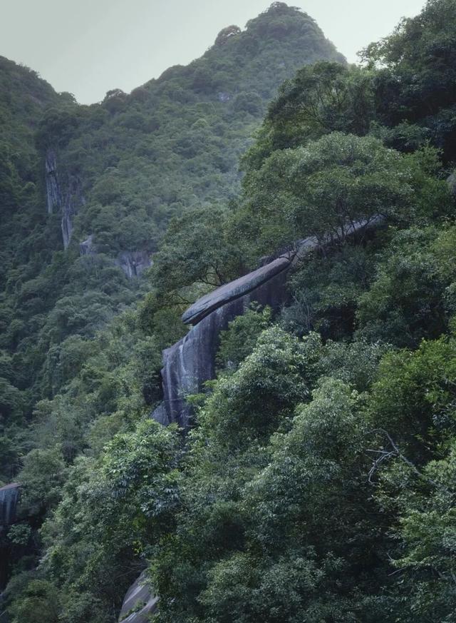 宁德新晋网红步道！把峡谷野趣、悬空观景与百年人文打包，随手拍都是景！
