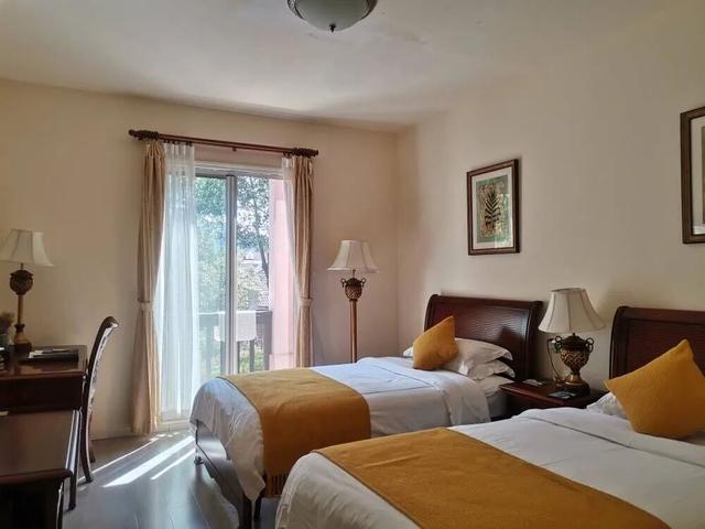 热搜！寒潮收尾！周末最高21℃！来光明东滩源、黄山茶林场兜兜…最低2折特惠！太值了！