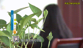 14岁女儿心脏病去世、老父亲被车撞……夫妻俩四处骗得1000多万元，落网后的举动更惊人