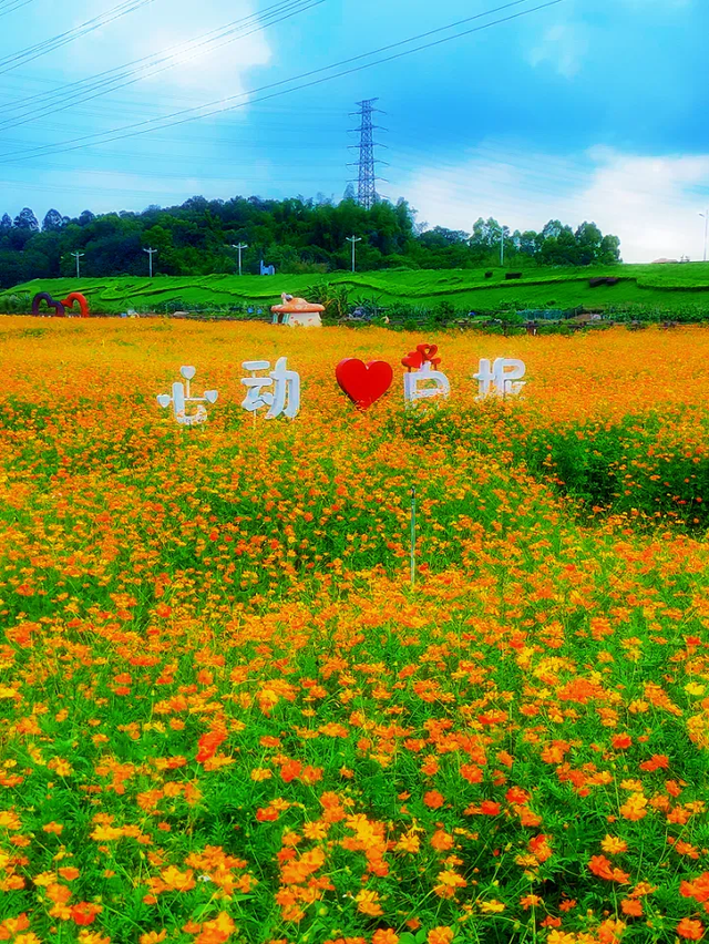 环两江国庆亲子游第三站：在佛山，用一场Country Walk探索城市“后花园”！