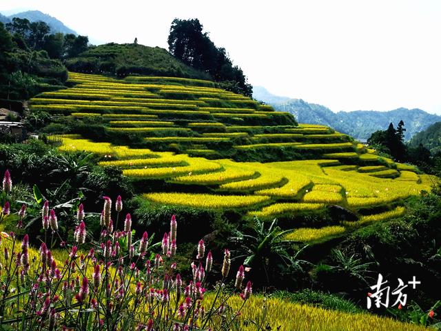 云端秘境，高山氧气之行|国庆游高州⑤