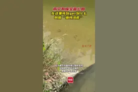 “鱼翔浅底”是啥？南宁这座宝藏公园说……图片