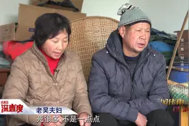 自家小蜜蜂连续4年被邻居蜜蜂咬死，一气之下他把农药抹上自家蜂箱，该如何调解？图片