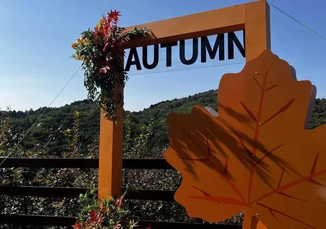 五彩斑斓！北京“漫山红叶”进最佳观赏期!