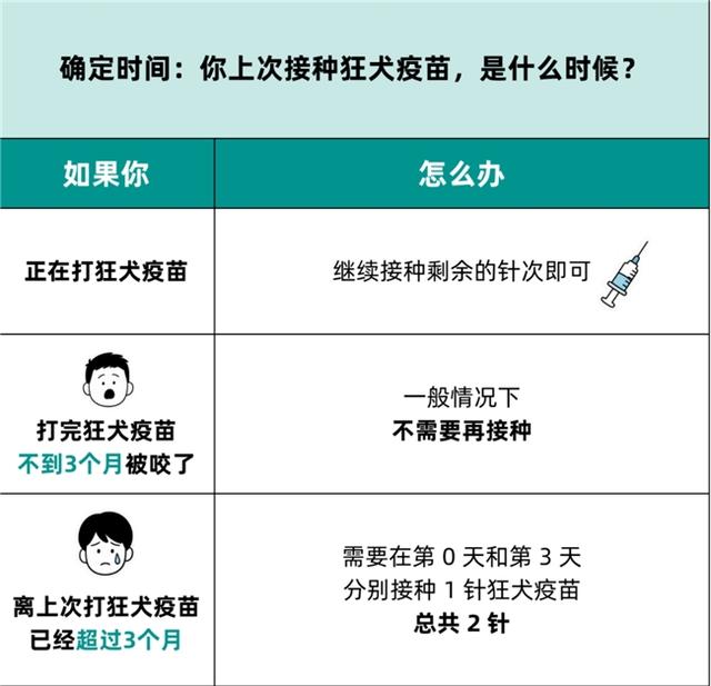 狂犬疫苗可以管几年？打过针又被咬了怎么办