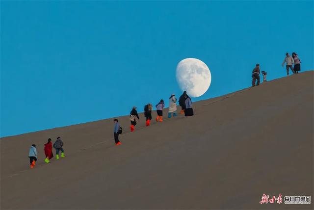 敦煌：大漠鎏金胡杨醉 驼铃引客赏秋光