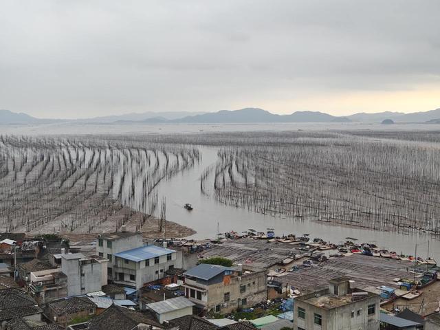 晚潮｜福建霞浦沙江S湾：一幅如梦如幻的滩涂水墨画