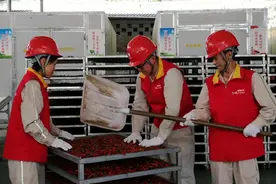 重庆彭水：电足了 辣椒红了图片