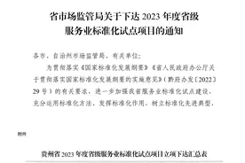 贵州航信：定标准补空白 强龙头优服务图片