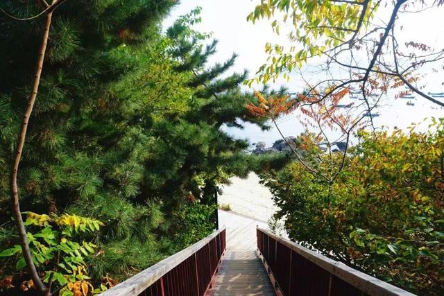 免费又出片！威海人私藏！钓鱼人、秋千、老渔船，治愈力满分～