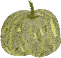 限定美景！听说有人还没去…