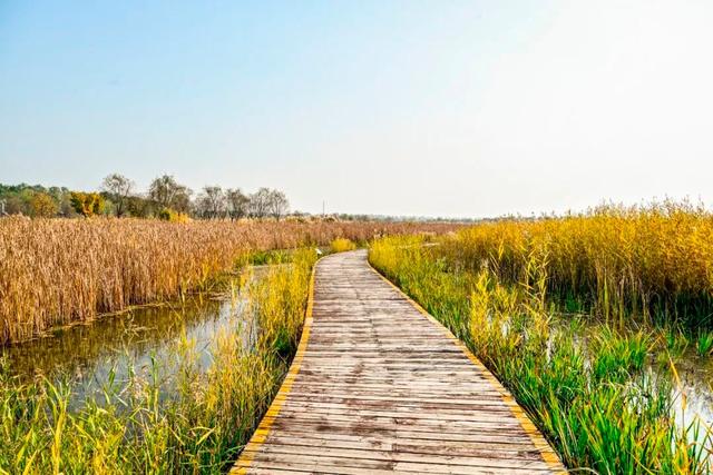 开放啦！副中心醉美秋色等您入画~