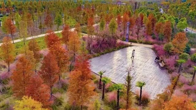重返20°C+，洛阳极品好天气！速速出门！