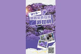 这个五一，跟着紫色花海游昆明图片